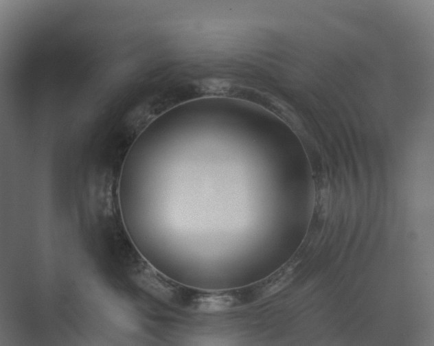 X0000074260525200609011346