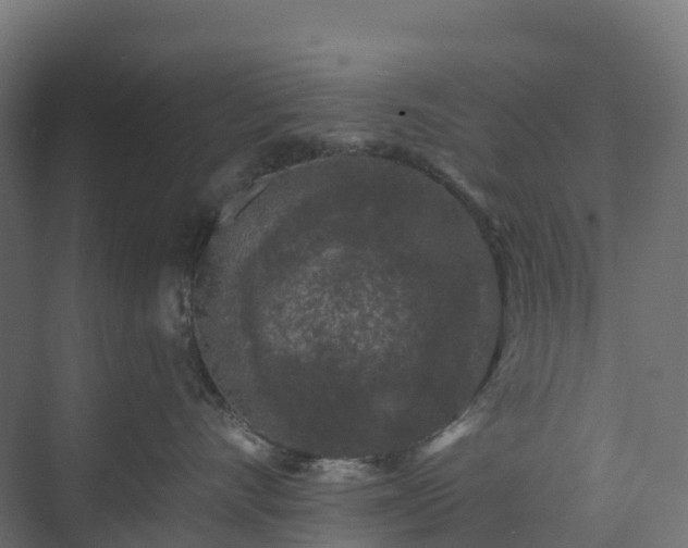 X0000074260528200609011346