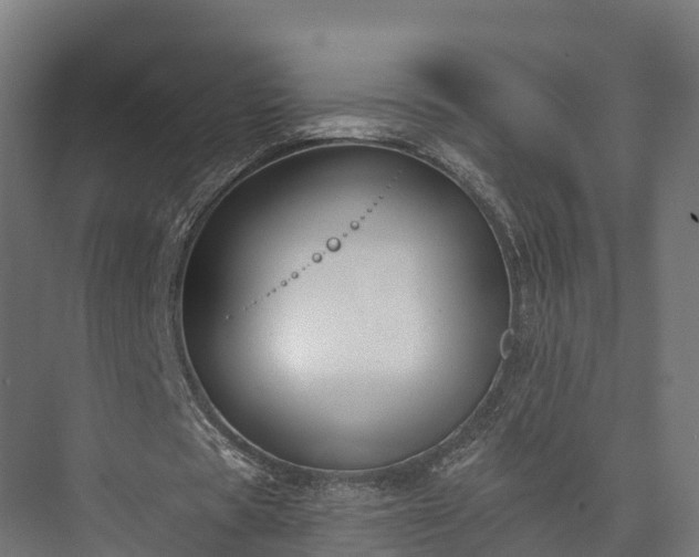 X0000074260529200609011345