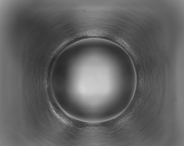 X0000074260530200609011345