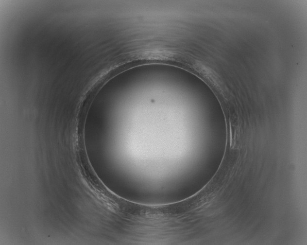 X0000074260531200609011345