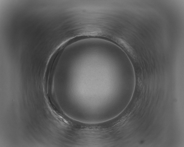 X0000074260532200609011345