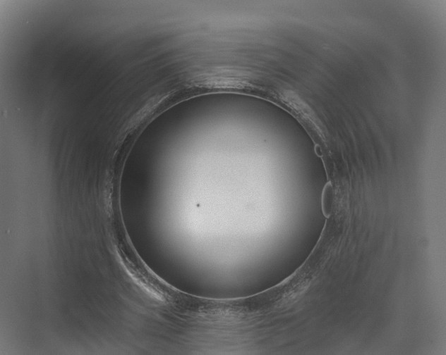 X0000074260533200609011345