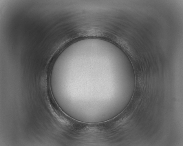 X0000074260534200609011345