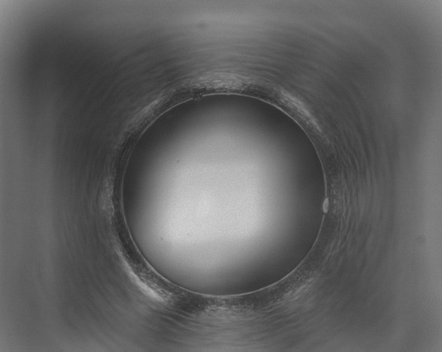 X0000074260538200609011345