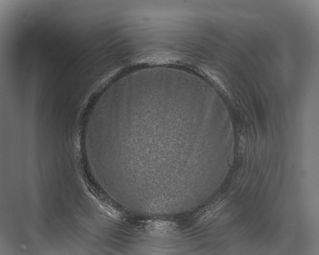 X0000074260539200609011345