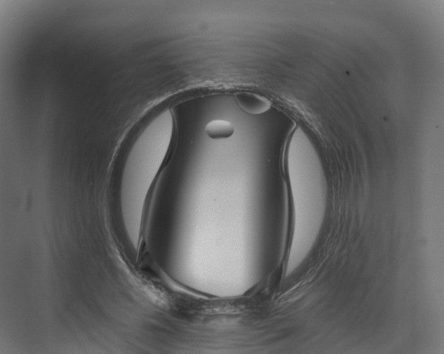 X0000074260540200609011345