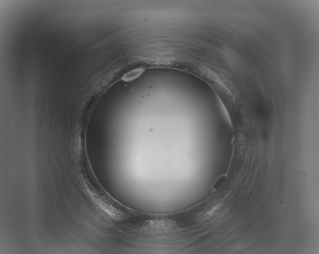 X0000074260541200609011345