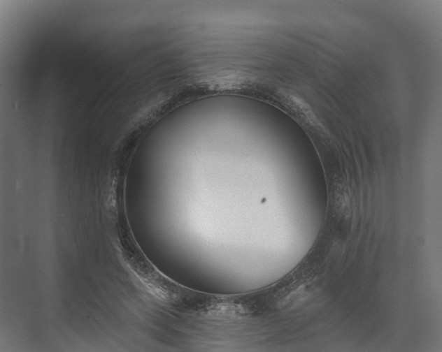 X0000074260543200609011345