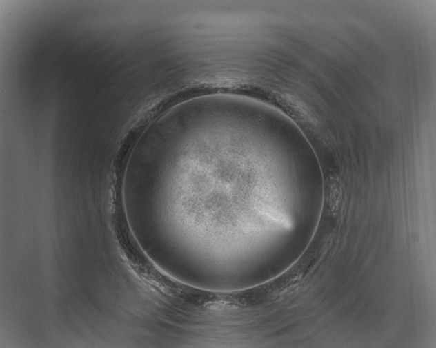 X0000074260544200609011345