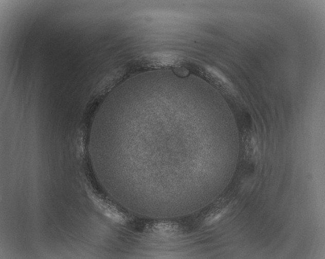 X0000074260546200609011345