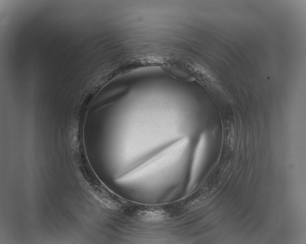 X0000074260548200609011345