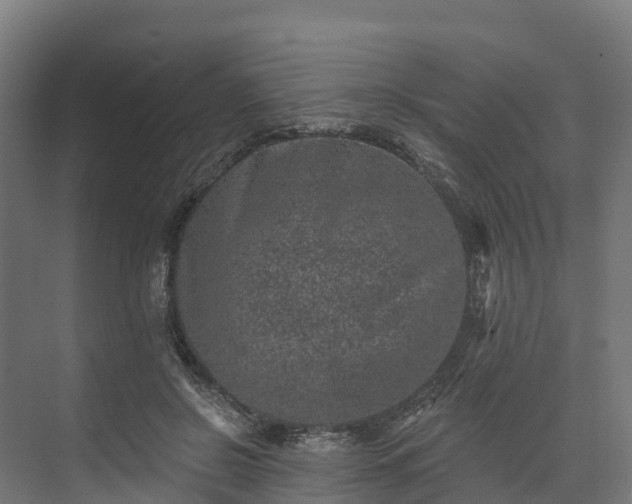 X0000074260550200609011345