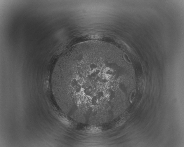 X0000074260553200609011345