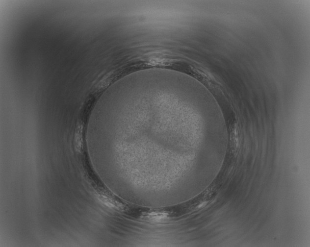 X0000074260554200609011345