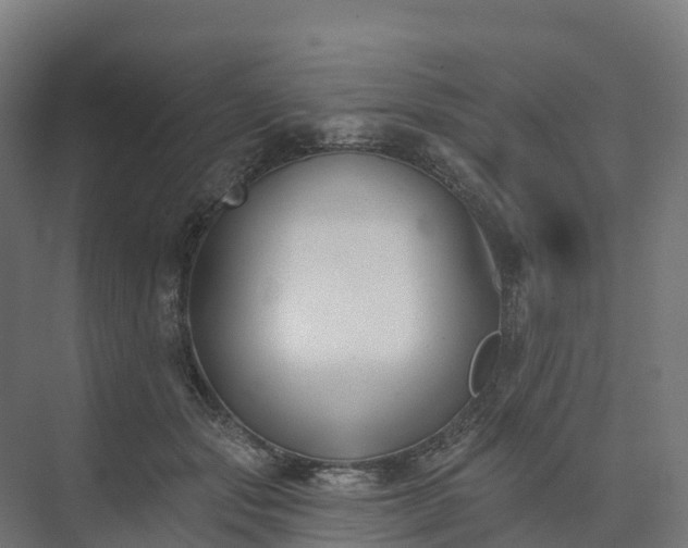 X0000074260557200609011345