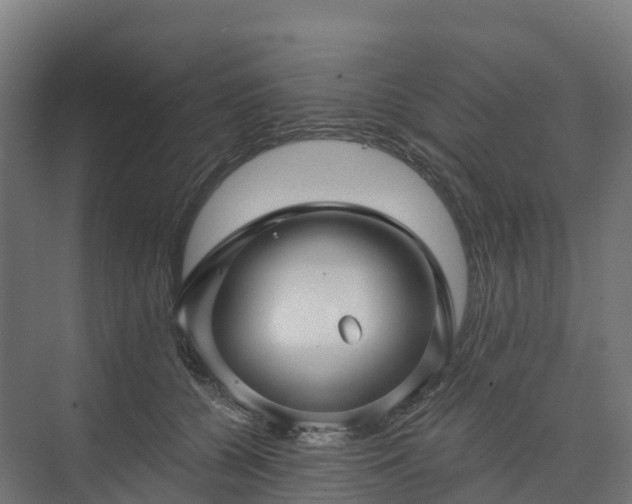 X0000074260560200609011345