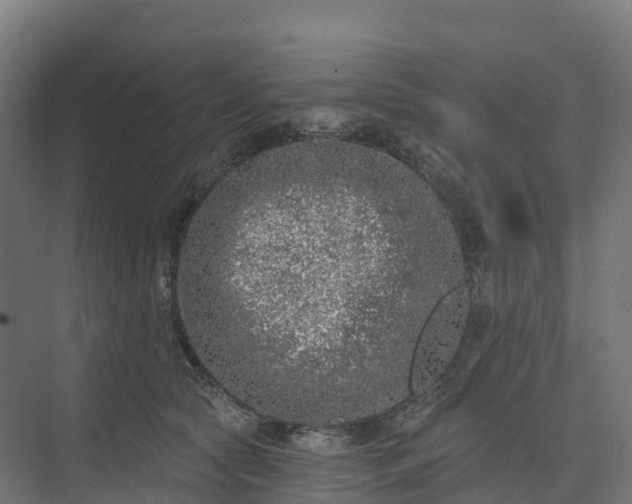 X0000074260561200609011345