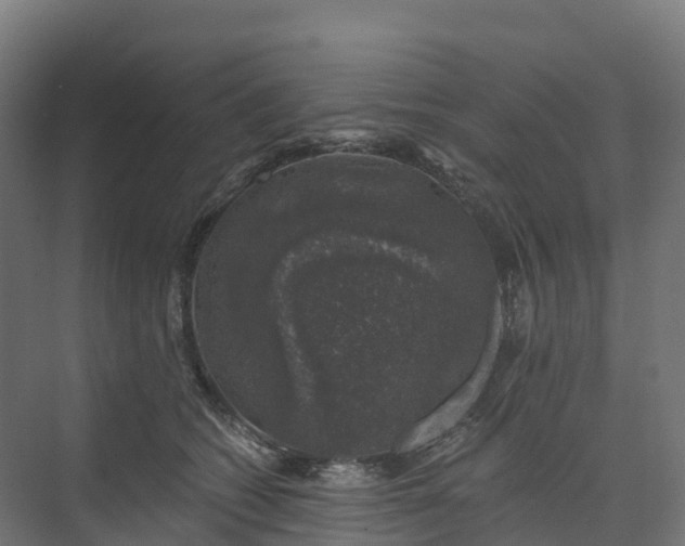 X0000074260562200609011346