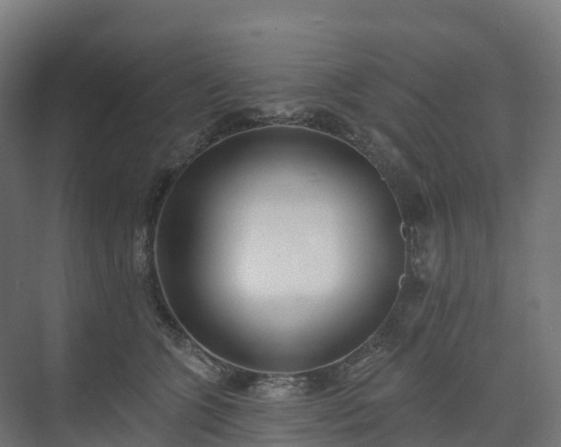 X0000074260563200609011346