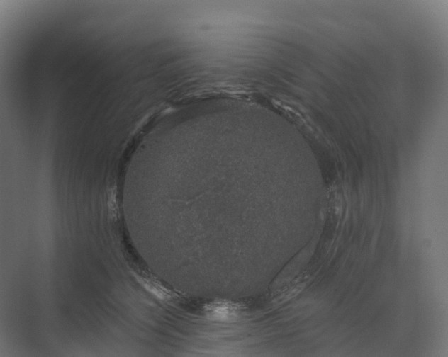 X0000074260564200609011346