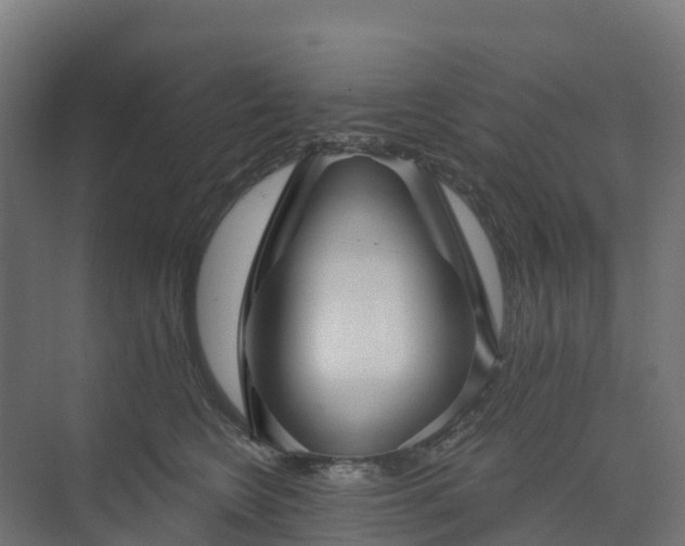 X0000074260566200609011346