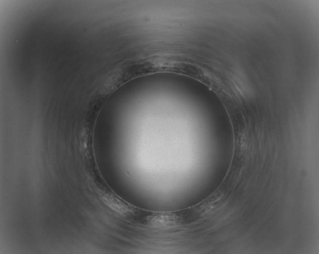 X0000074260567200609011346