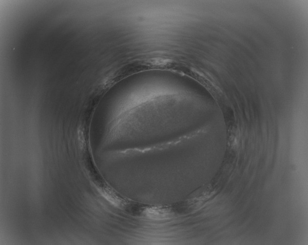 X0000074260568200609011346