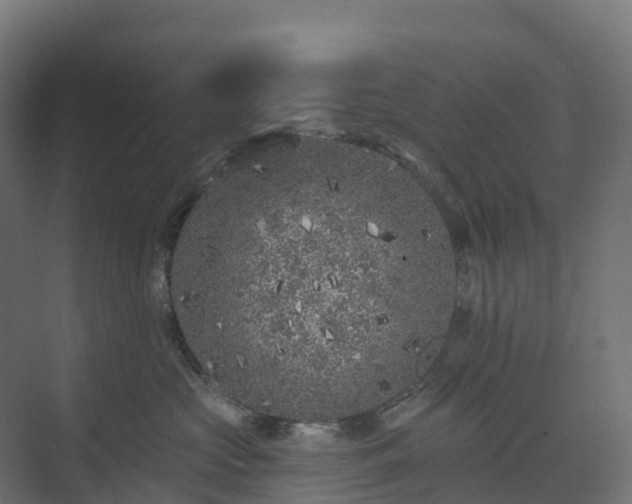 X0000074260573200609011346