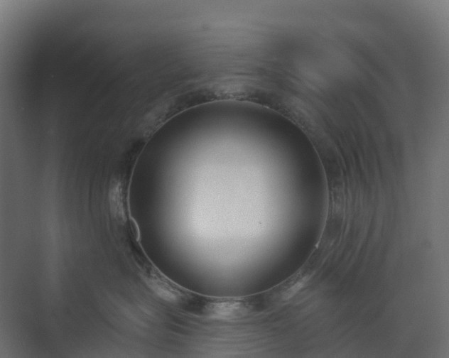 X0000074260575200609011346