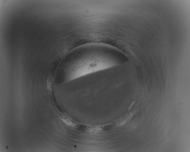 X0000074260576200609011346