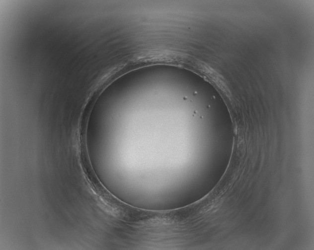 X0000074260578200609011345