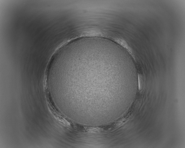 X0000074260579200609011345