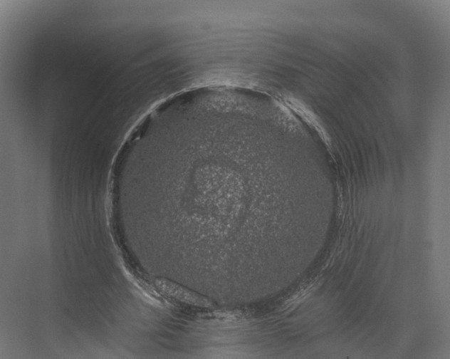 X0000074260580200609011345