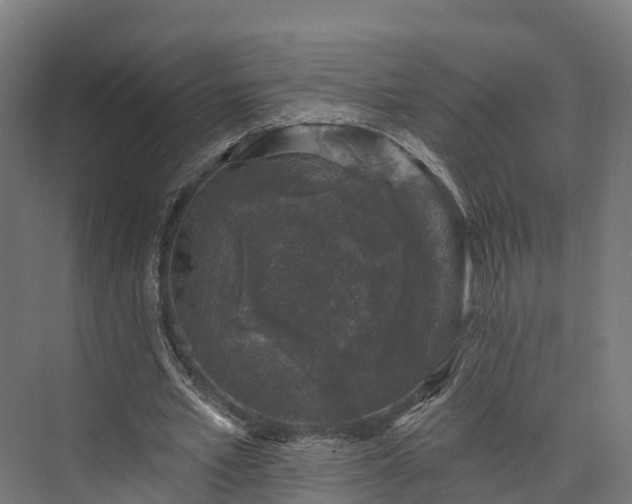 X0000074260581200609011345