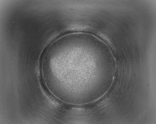 X0000074260582200609011345