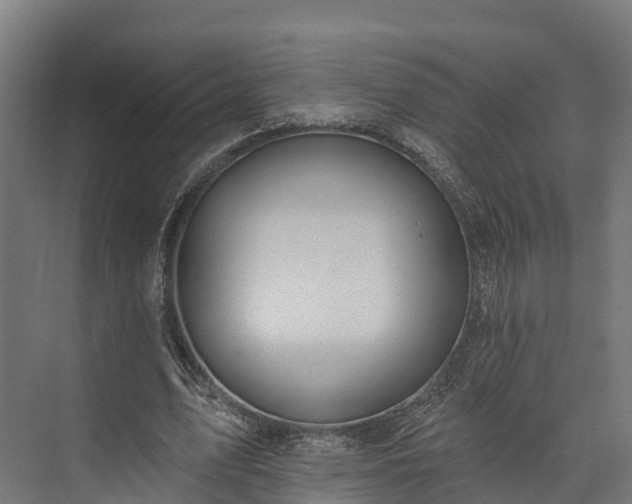 X0000074260583200609011345