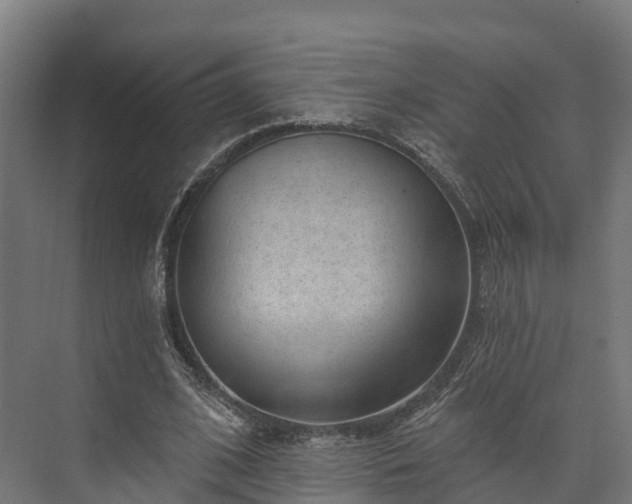 X0000074260584200609011345