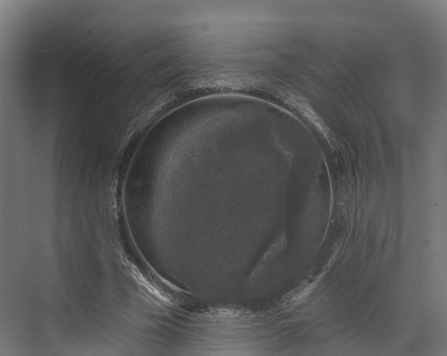 X0000074260585200609011345