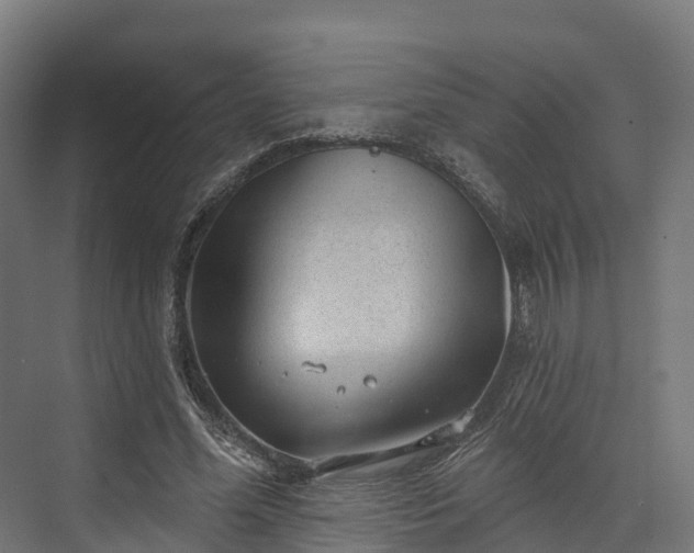 X0000074260588200609011345