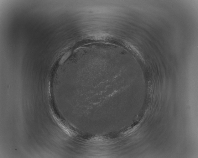 X0000074260589200609011345