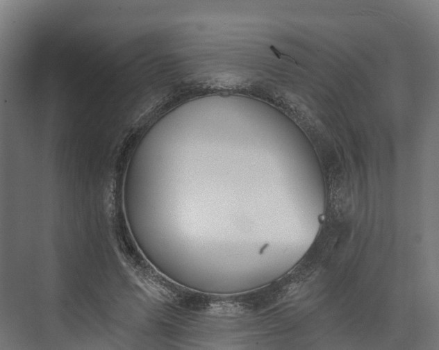 X0000074260591200609011345