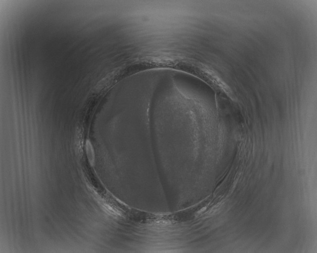 X0000074260593200609011345