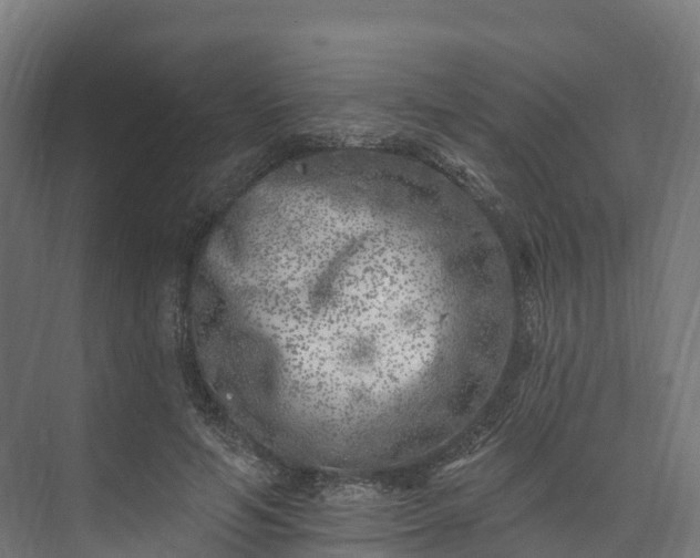 X0000074260594200609011345