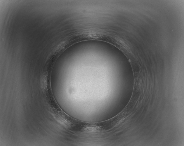 X0000074260595200609011345