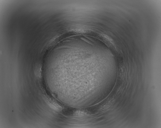 X0000074260596200609011345