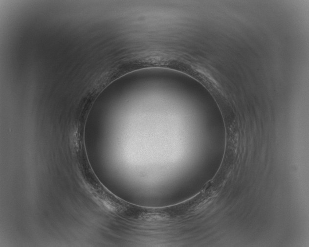 X0000074260597200609011345