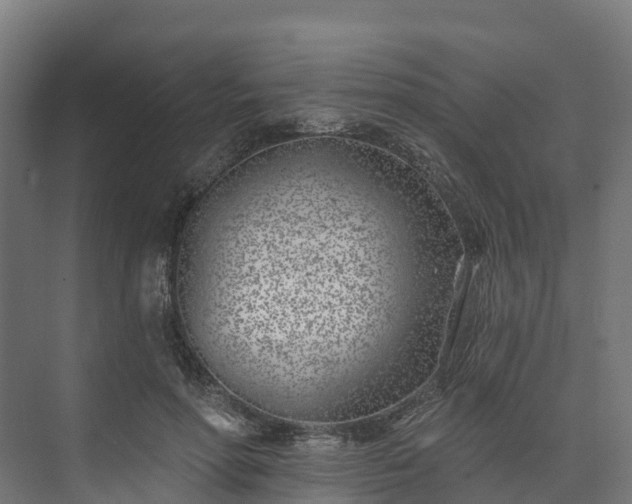 X0000074260598200609011345