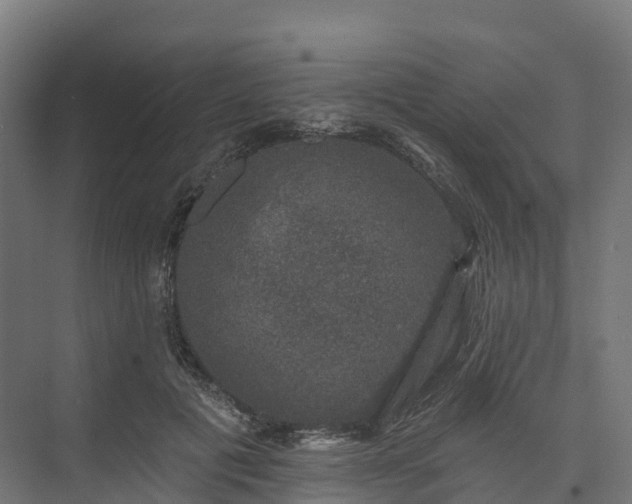 X0000074260601200609011345