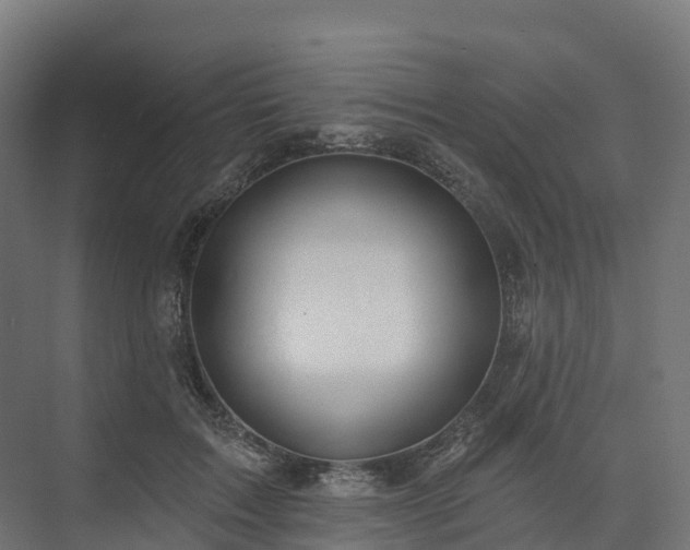 X0000074260603200609011344